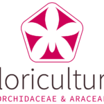 logo floricultura